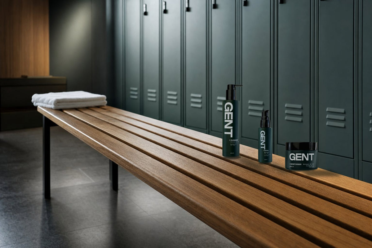 gx gym bench